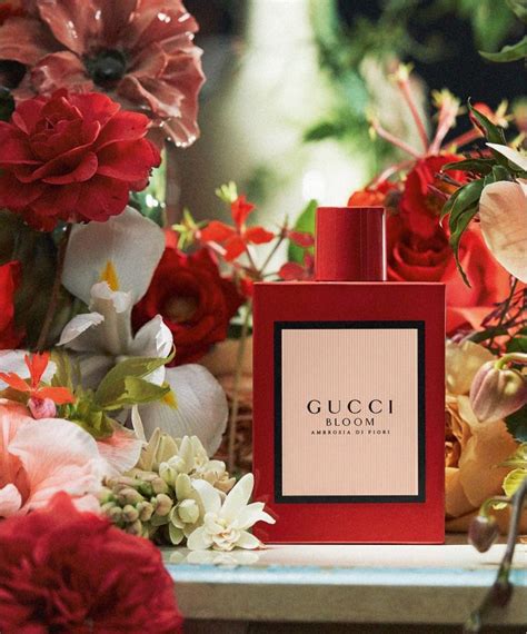 bloom perfume gucci|gucci bloom perfume collection.